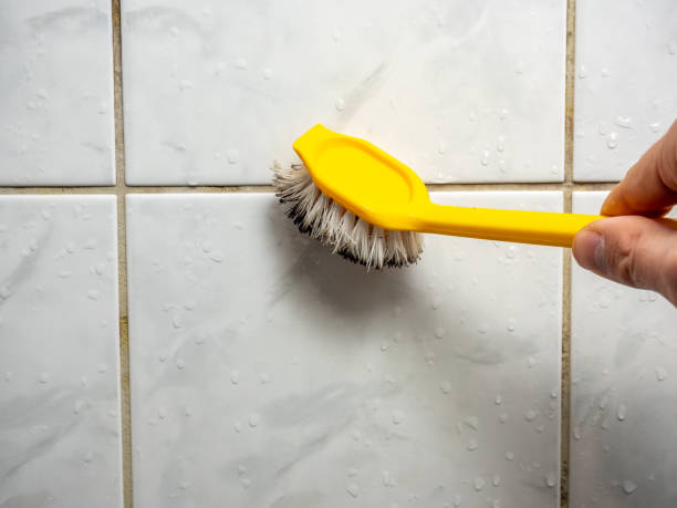 Best Professional Mold Removal  in Fayette, MS